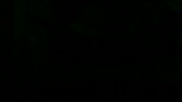 markluvskitty online show from April 12, 2026, 7:55 am