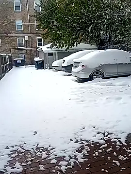 Snapshot of AmazonianMistress chatting on November 10, 2025, 7:30 pm AmazonianMistress online show from November 10, 2025, 7:30 pm