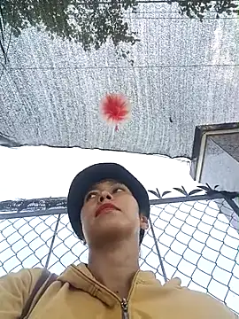 2HotAsain4u online show from April 11, 2026, 3:03 am