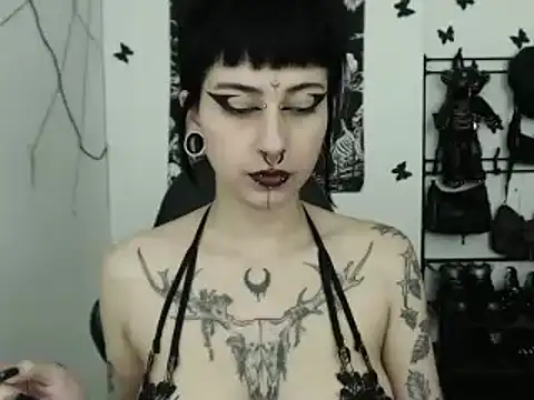 n0sferatus   online show from November 29, 2025, 4:01 am