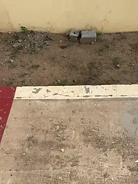 Black-mamba-madingo online show from April 18, 2026, 6:49 am