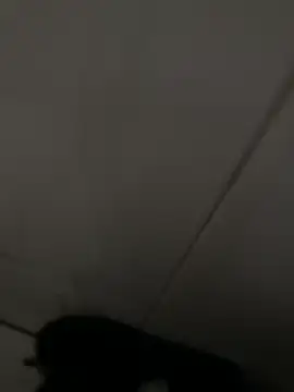 Black-mamba-madingo online show from April 16, 2026, 6:19 pm