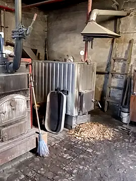 MityaXLoves online show from November 12, 2025, 5:55 am