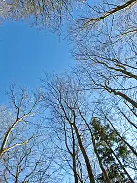 Snapshot of LydiaMaus96 chatting on February 18, 2025, 1:11 pm LydiaMaus96 online show from February 18, 2025, 1:11 pm