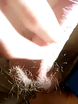 NudeYogaBoy online show from January 7, 2025, 12:31 pm