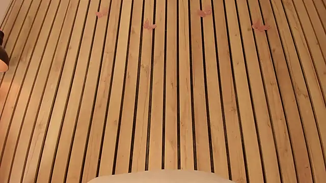 sofiesoft online show from November 22, 2025, 12:59 pm