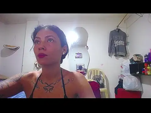 harry lia  online show from December 3, 2025, 7:46 pm