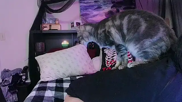 Snapshot of CrystalLakeXO chatting on January 17, 2026, 8:07 am CrystalLakeXO online show from January 17, 2026, 8:07 am