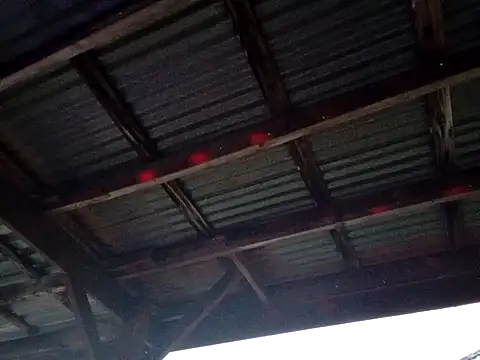 Snapshot of Xoc8_ chatting on December 1, 2025, 11:05 pm Xoc8 online show from December 1, 2025, 11:05 pm