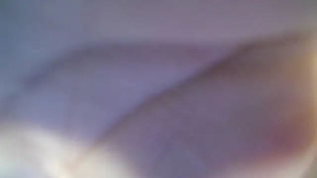 skeler lovd b  online show from March 20, 2026, 12:50 pm