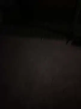 ToAnWTW online show from April 10, 2026, 11:23 pm