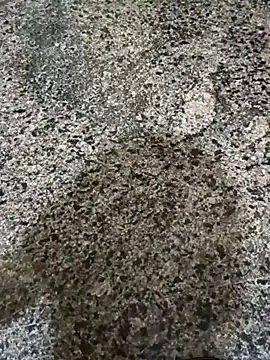 Snapshot of Mahesh-King chatting on February 2, 2025, 11:32 pm Mahesh-King online show from February 2, 2025, 11:32 pm