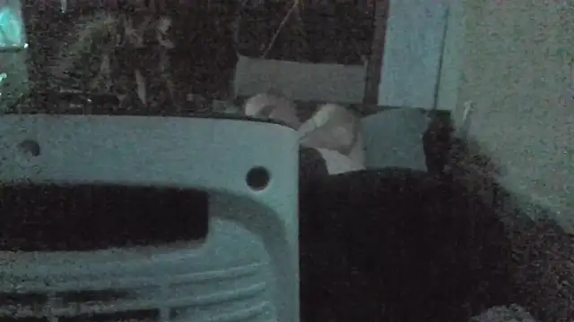 jaxx12369 online show from February 22, 2026, 7:04 pm