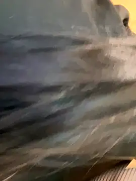 Snapshot of Evelyn_Moon chatting on September 22, 2025, 1:39 pm Evelyn Moon online show from September 22, 2025, 1:39 pm