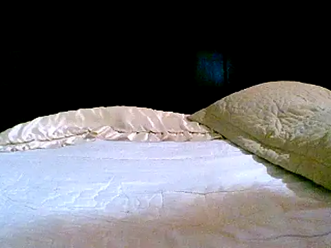 Snapshot of pollarikaaa chatting on December 14, 2024, 1:49 am pollarikaaa online show from December 14, 2024, 1:49 am