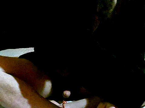 Snapshot of pollarikaaa chatting on January 3, 2025, 3:16 am pollarikaaa online show from January 3, 2025, 3:16 am