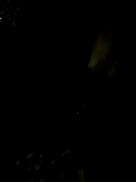 Tamil boy age28 online show from February 15, 2025, 5:17 pm