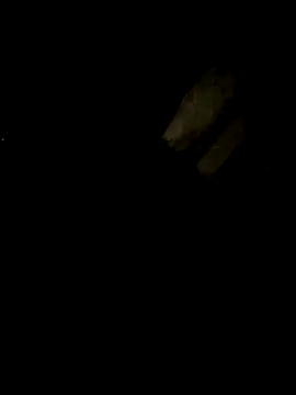 Tamil boy age28 online show from February 22, 2025, 5:24 pm