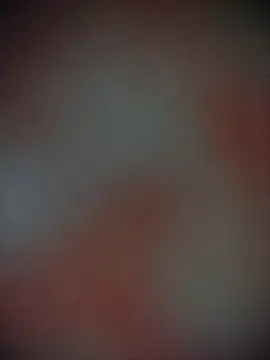 Bengoli--bhabhi online show from November 22, 2025, 12:37 pm