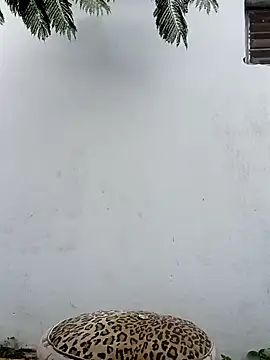 Snapshot of Chicavixy chatting on February 7, 2025, 10:52 pm Chicavixy online show from February 7, 2025, 10:52 pm