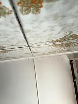 Huncutkuki online show from September 21, 2025, 6:51 am