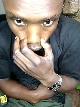 199Gif online show from February 15, 2026, 8:41 pm