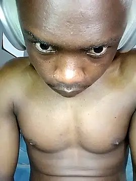 199Gif online show from January 8, 2026, 4:40 am