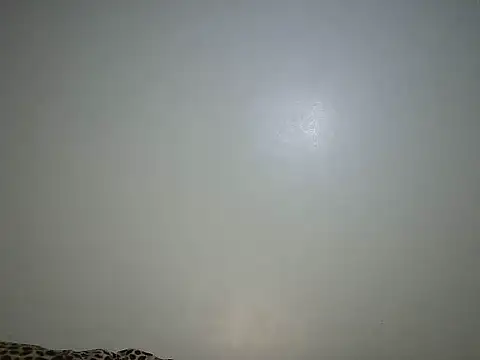Snapshot of Toxique_ chatting on June 26, 2026, 5:52 pm Toxique online show from June 26, 2026, 5:52 pm