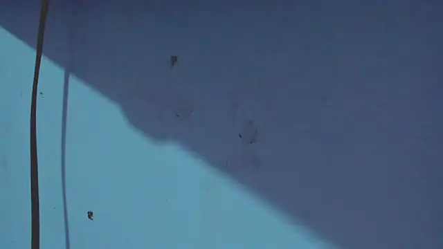 Snapshot of Kimberly_thompsom chatting on January 31, 2025, 11:45 pm Kimberly thompsom online show from January 31, 2025, 11:45 pm