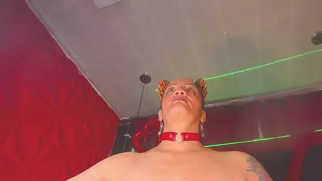 Taylor-hardcore online show from October 27, 2025, 2:29 pm