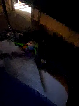 Snapshot of daddysmalldick502 chatting on November 4, 2025, 6:44 pm daddysmalldick502 online show from November 4, 2025, 6:44 pm