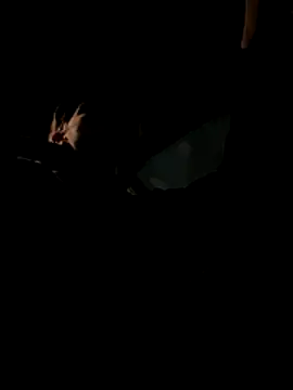 bigmerc online show from November 21, 2025, 9:58 pm