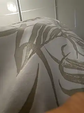 Snapshot of Hardmard chatting on December 26, 2024, 2:27 pm Hardmard online show from December 26, 2024, 2:27 pm