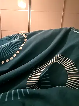 Snapshot of Hardmard chatting on January 24, 2025, 5:53 pm Hardmard online show from January 24, 2025, 5:53 pm