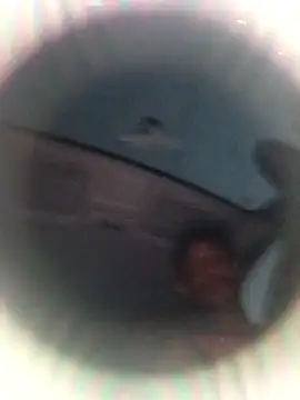 Snapshot of Ursonego chatting on October 3, 2025, 10:11 pm Ursonego online show from October 3, 2025, 10:11 pm