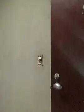 dolariano online show from January 31, 2025, 9:16 pm