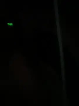 dimitriei online show from January 5, 2025, 8:54 am