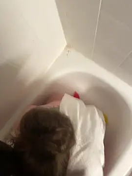 Lord-Sloppy online show from March 16, 2025, 10:00 am