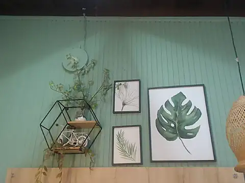 Snapshot of george_jonnes chatting on November 22, 2025, 9:41 am george jonnes online show from November 22, 2025, 9:41 am