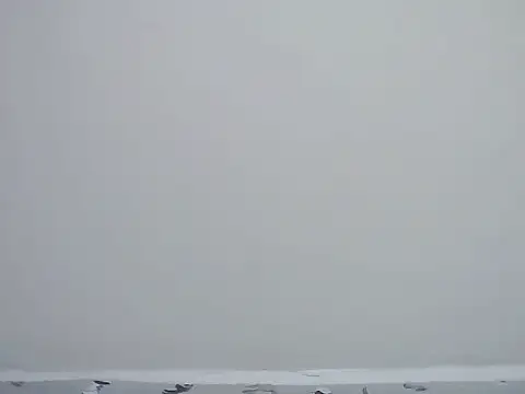 ebony curvedass online show from April 19, 2026, 7:53 am