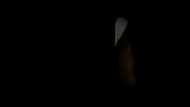 Snapshot of drirondick chatting on January 3, 2025, 8:11 pm drirondick online show from January 3, 2025, 8:11 pm