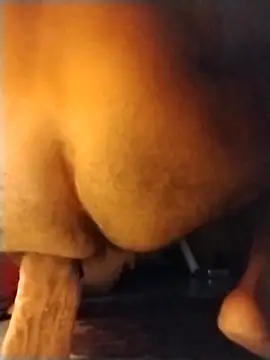 brownfeet online show from March 23, 2025, 7:53 am