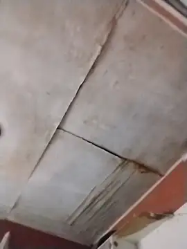 brownfeet online show from February 3, 2025, 4:04 am