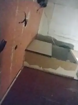 brownfeet online show from February 26, 2025, 11:52 pm