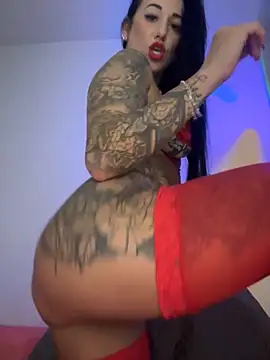 TigrezaSC online show from November 27, 2025, 3:29 am