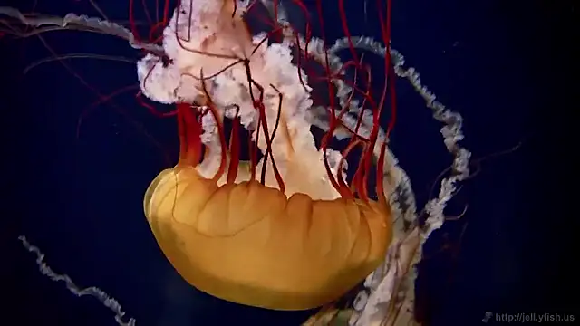 Snapshot of streamy_test15 chatting on October 2, 2025, 8:18 am streamy test15 online show from October 2, 2025, 8:18 am