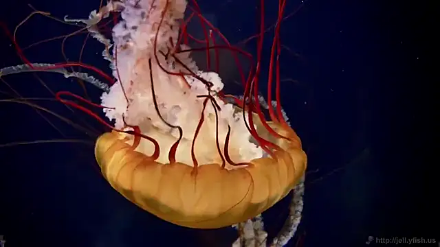 Snapshot of streamy_test15 chatting on March 14, 2025, 8:10 am streamy test15 online show from March 14, 2025, 8:10 am