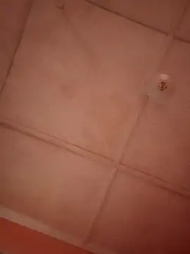 bebsexy online show from December 14, 2025, 12:55 pm