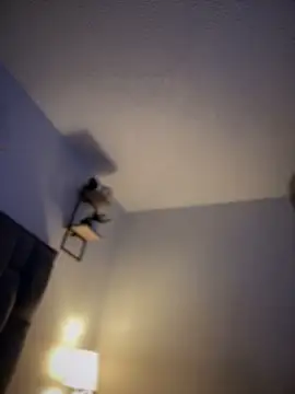 Carlita cute online show from March 19, 2025, 4:36 am