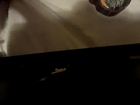 FreakNastyLacie online show from December 16, 2025, 5:00 am